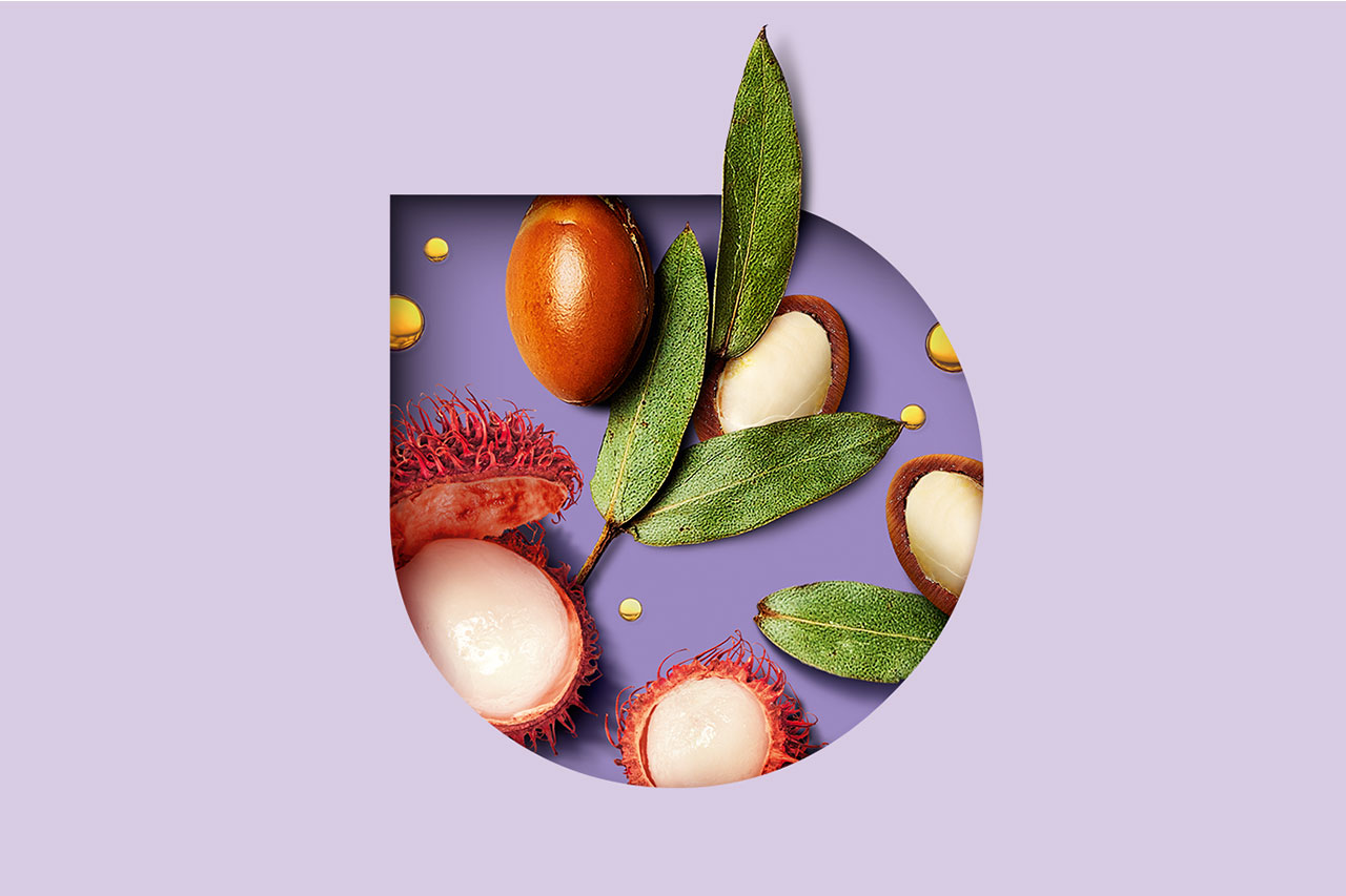 High-End-Bildbearbeitung / Composing: tropfenförmiges Visual für Everdrop Solid Conditioner: Argannüsse, Öltropfen, Blätter, Rambutanfrüchte